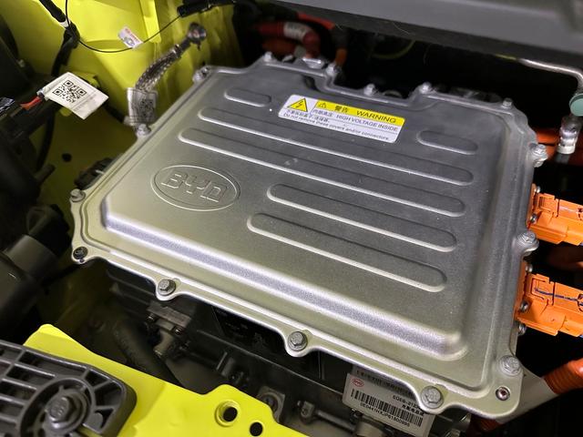 Battery of a BYD Seagull electric vehicle as seen at the Caresoft Global facility in Livonia, Mich.