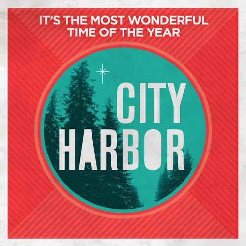 It's the Most Wonderful Time of the Year (Single)