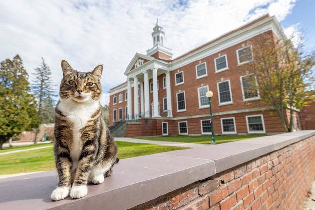 Max the Cat stands in front of Woodruff Hall at Vermont State University Castleton in Castleton, Vt. 