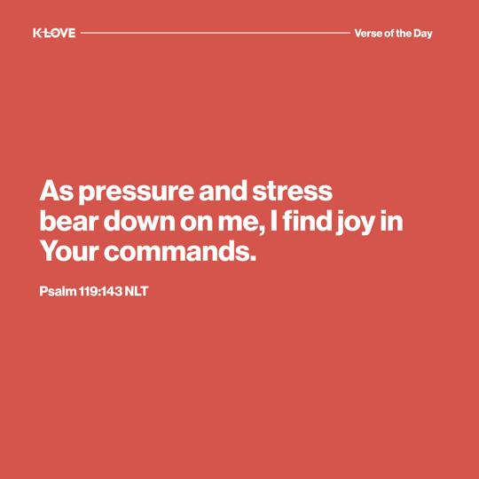 As pressure and stress bear down on me, I find joy in Your commands.
