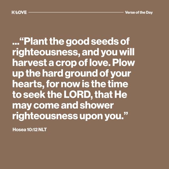 ..."Plant the good seeds of righteousness, and you will harvest a crop of love. Plow up the hard ground of your hearts, for now is the time to seek the LORD, that He may come and shower righteousness upon you."