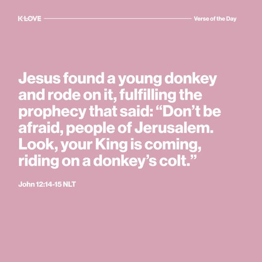 Jesus found a young donkey and rode on it, fulfilling the prophecy that said: “Don’t be afraid, people of Jerusalem. Look, your King is coming, riding on a donkey’s colt.”