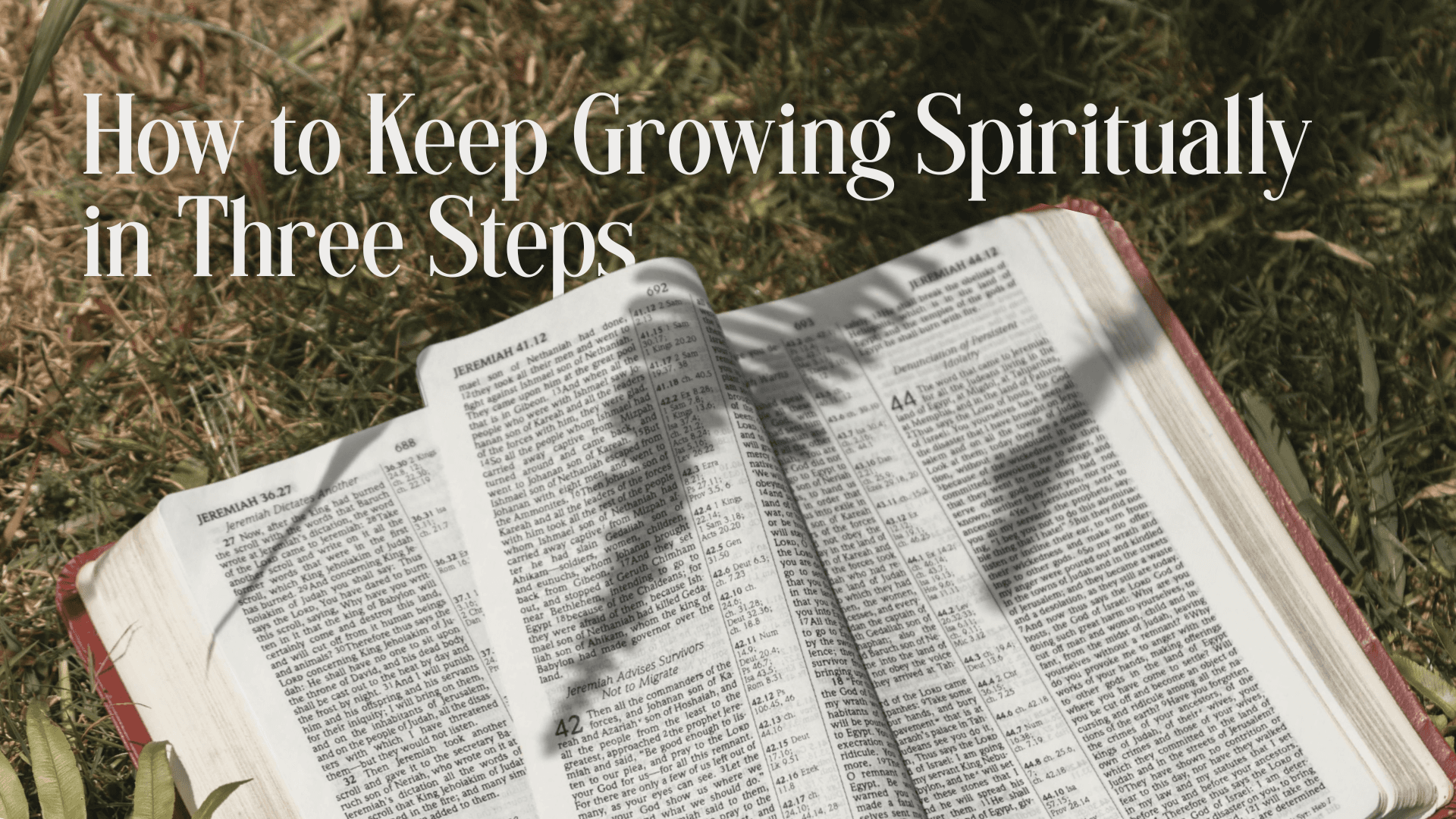 How to Keep Growing Spiritually in Three Steps Image