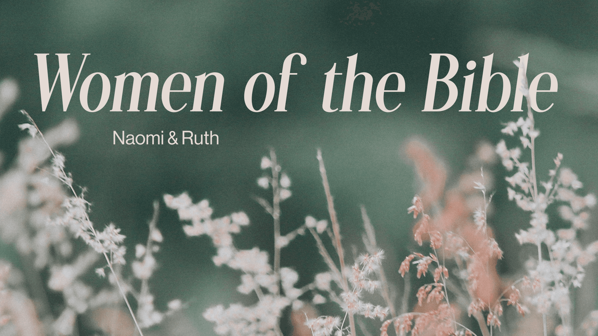 WOTB: Naomi & Ruth Image