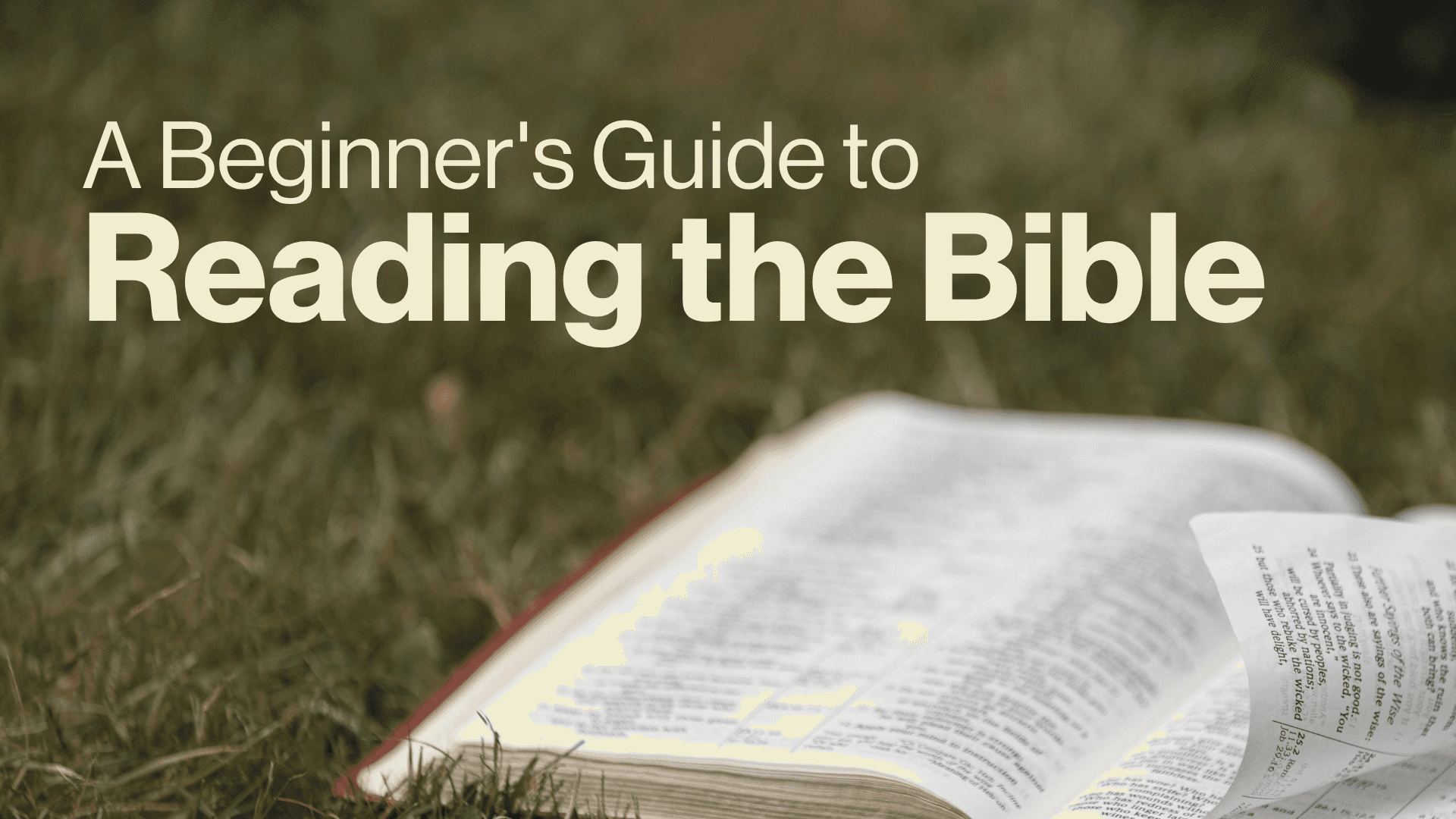 A Beginner's Guide to Reading the Bible Image