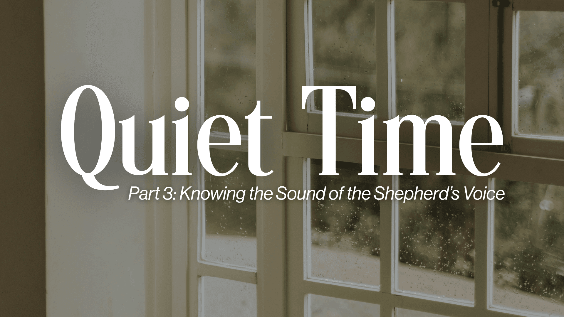 Part 3: Knowing the Sound of the Shepherd's Voice Image