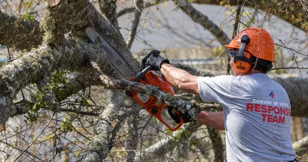 Sawing through a tree downed by the Mississippi tornado