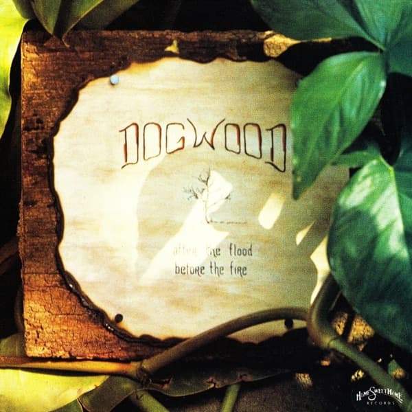 After The Flood, Before The Fire