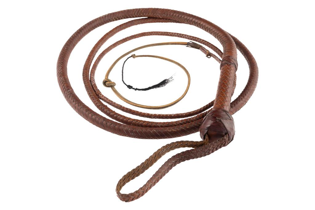 A whip wielded by Harrison Ford in "Indiana Jones and the Last Crusade" 