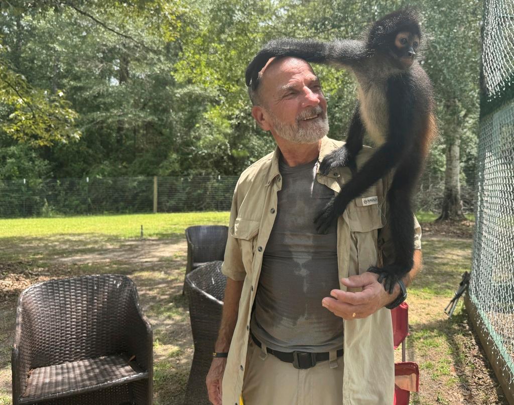 Louie the spider monkey climbs on John Richard, a volunteer at the Gulf Coast Primate Sanctuary 