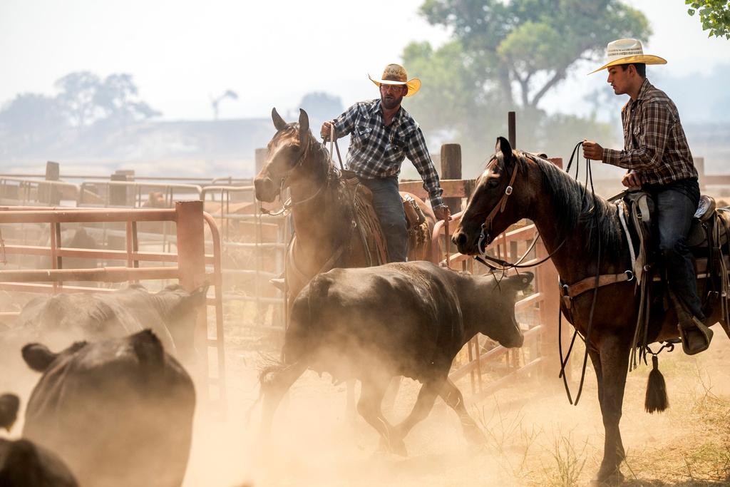 Ranchers work to evacuate cattle as the Gifford Fire burns 