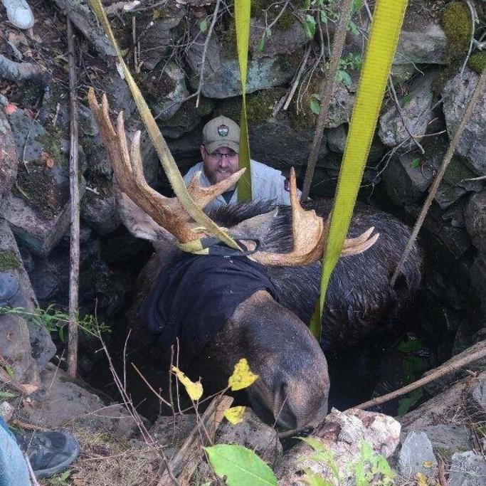 A moose trapped in an abandoned well is rescued by wardens from the Maine Department of Inland Fisheries & Wildlife