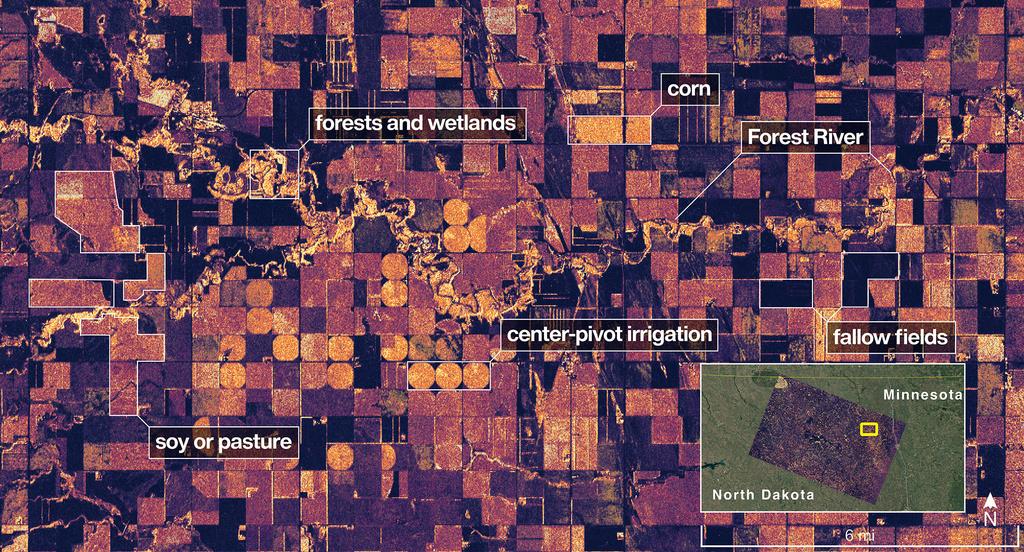 NISAR imaged land adjacent to northeastern North Dakota’s Forest River, light-colored wetlands and forests line the river’s banks, while circular and rectangular plots throughout the image appear in shades that indicate the land may be pasture or cropland with corn or soy.