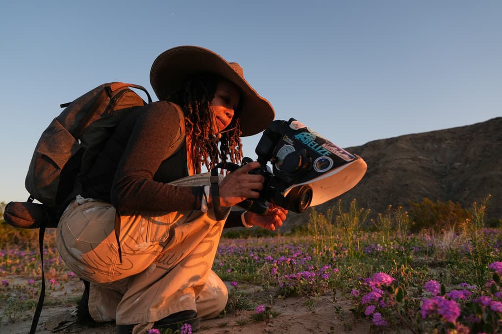 She's Documenting Native Bees That Face Habitat Loss