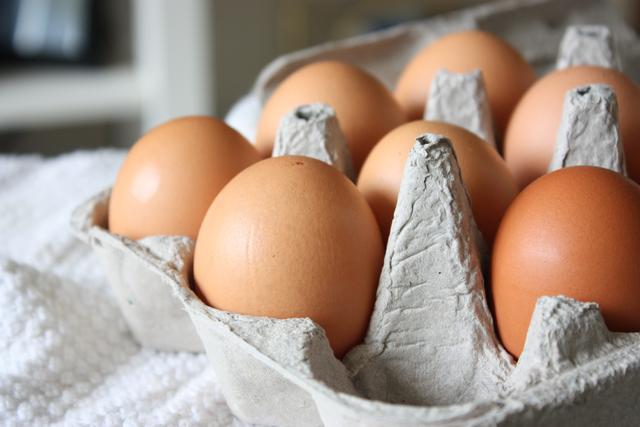 carton of eggs