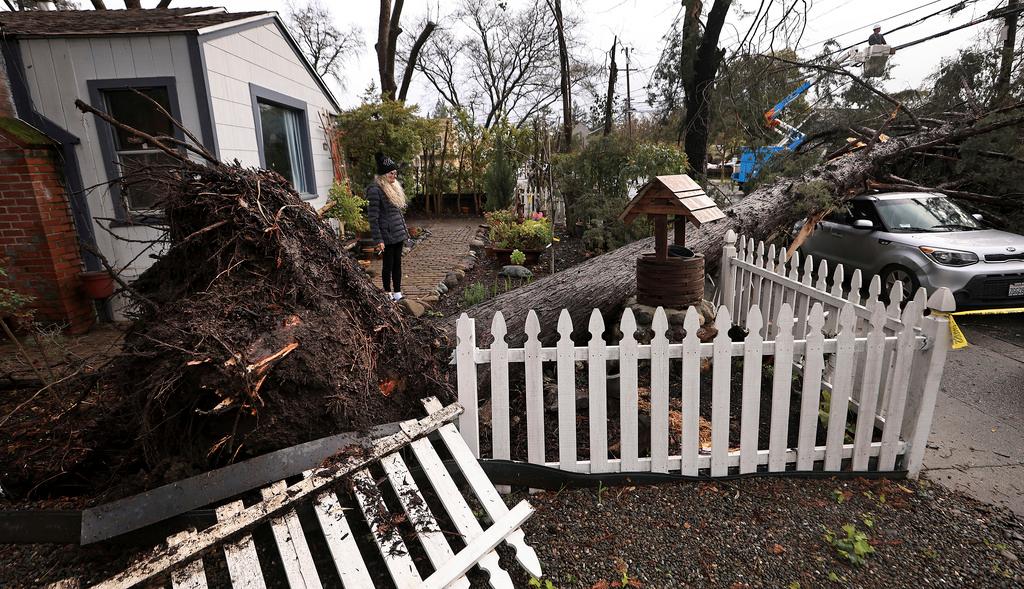 Helena Zappelli surveys the damage to her yard and vehicle after a large tree fell over, Tuesday, March 21, 2023, on Humboldt Street in Santa Rosa, Calif., during another storm to wallop the state.
