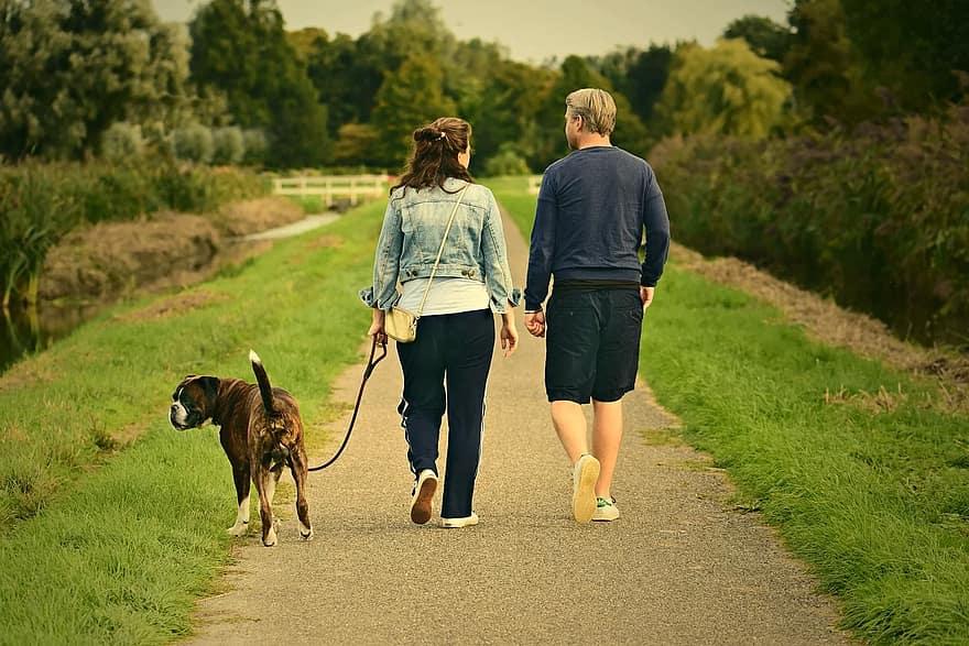 Couple walking their dog