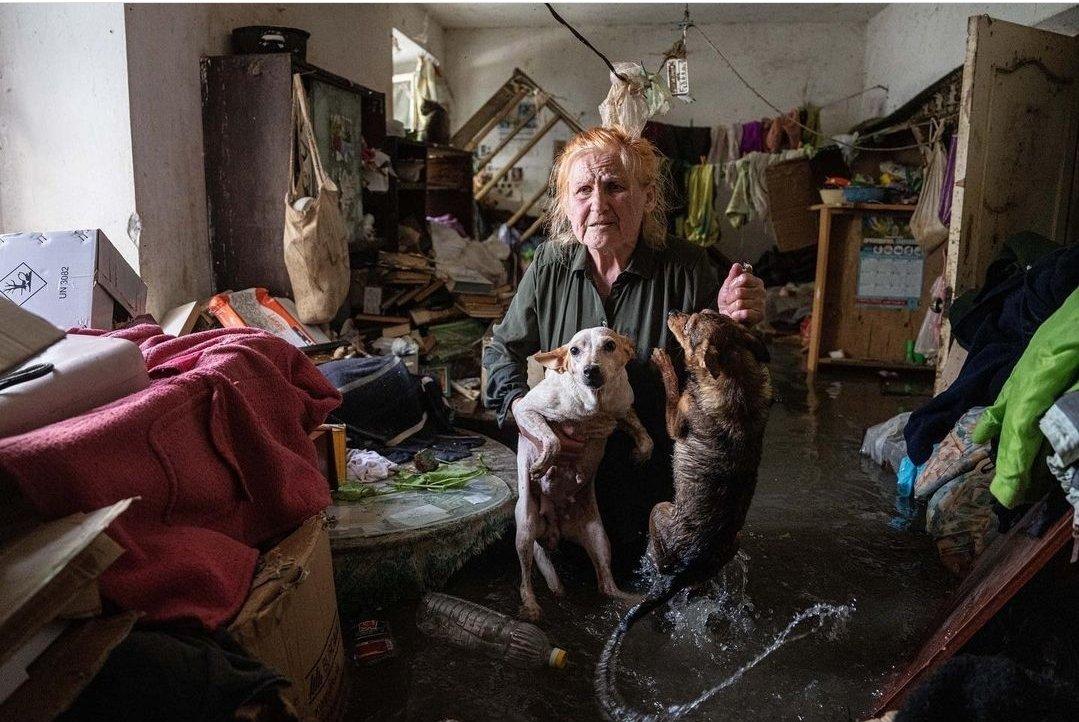 flooded home woman with dogs