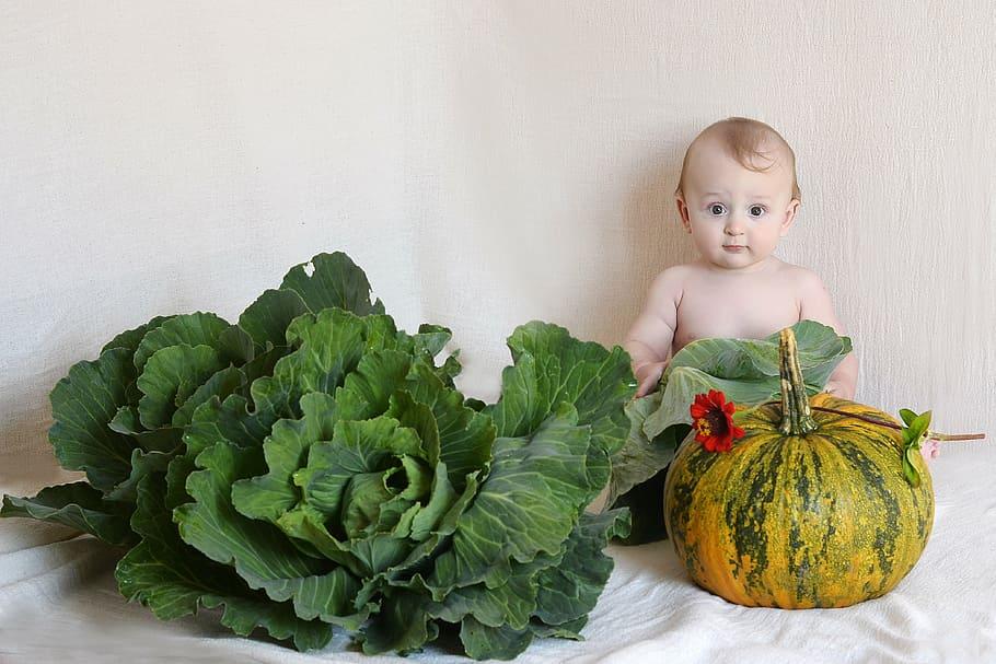 Baby, Cabbage, Squash