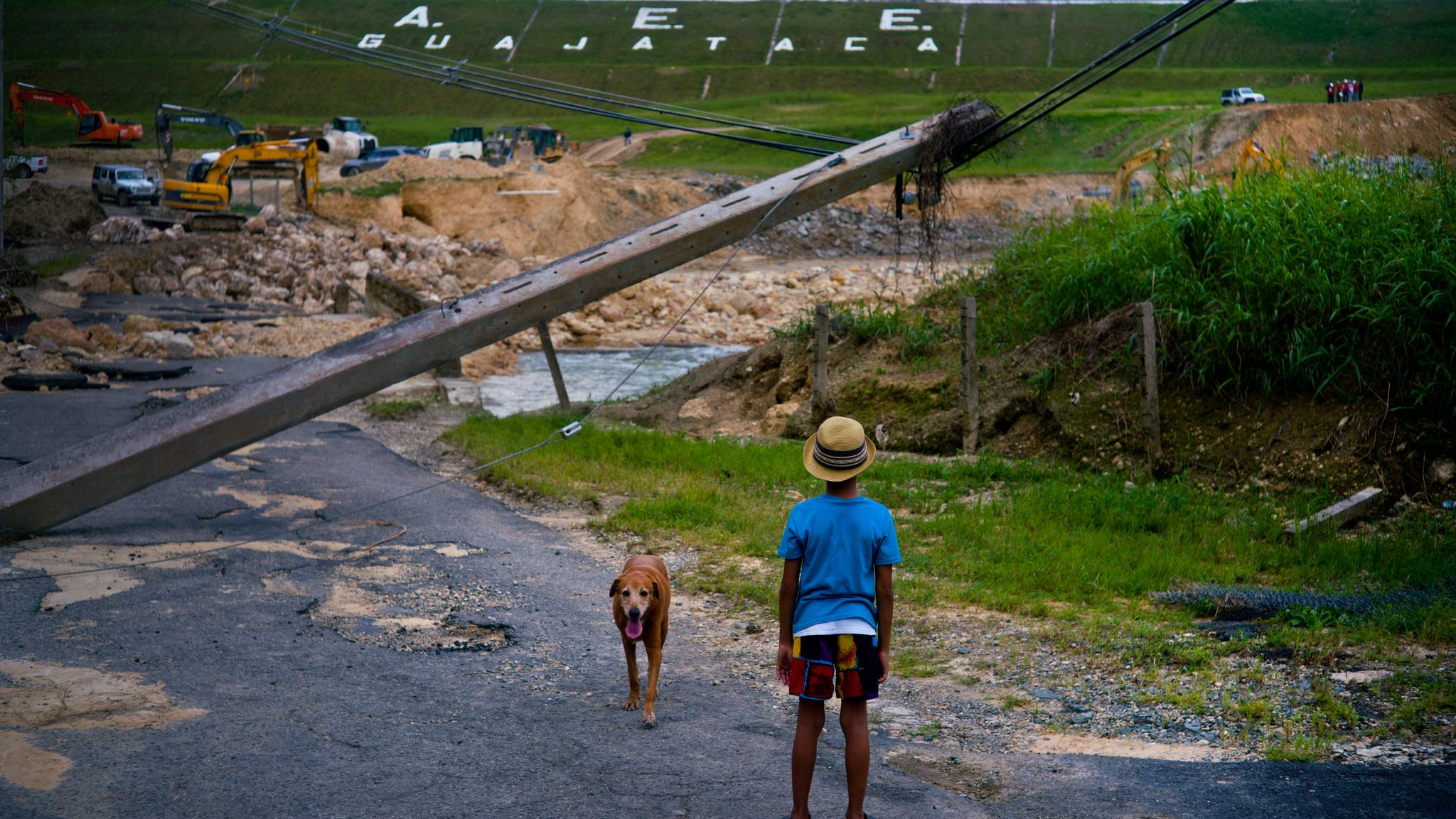 A boy and his dog look at the devastated bridge and power lines near a river