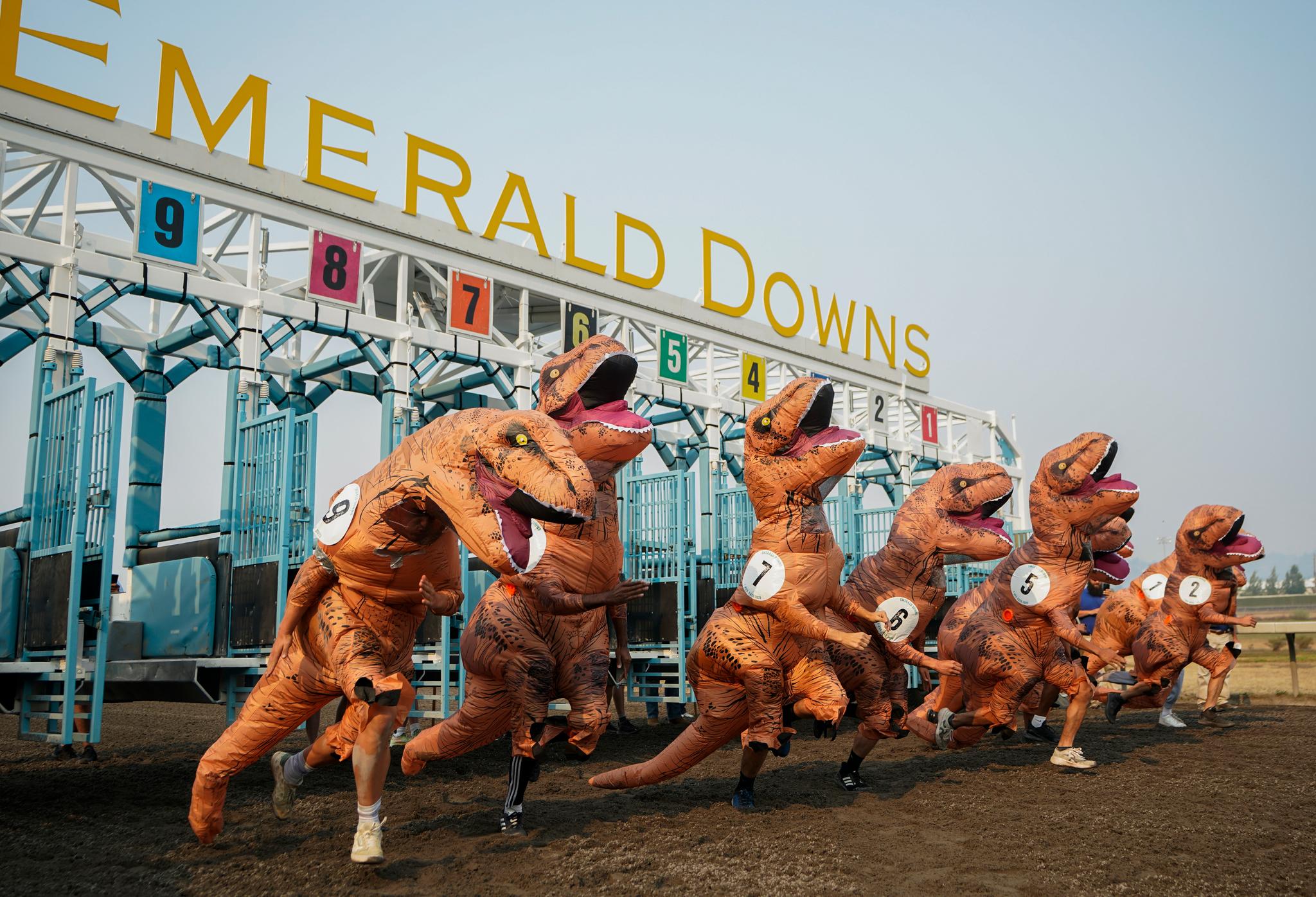Racers, including eventual winner Ocean Kim (5), leave the gates for the championship race during the "T-Rex World Championship Races" at Emerald Downs, Sunday, Aug. 20, 2023, in Auburn, Wash.