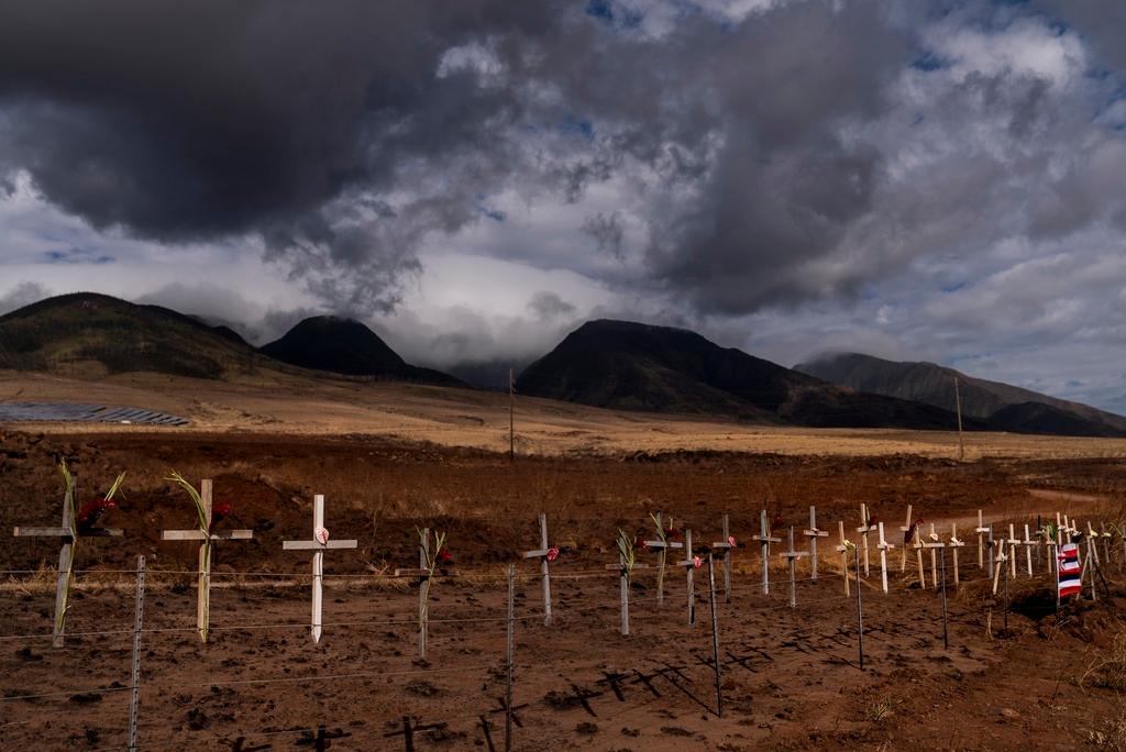 Crosses honoring victims killed in a recent wildfire are posted along the Lahaina Bypass in Lahaina, Hawaii, Aug. 21, 2023.