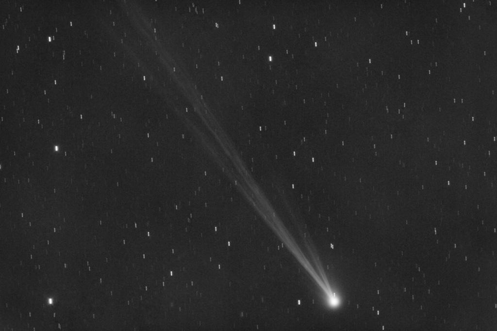 C/2023 P1 Nishimura and its tail