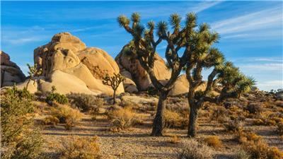 Best Places for a Vacation When Experiencing Burnout