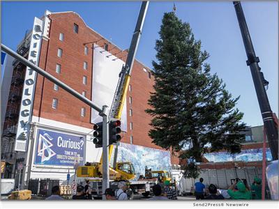 Carefully craning the tree into place