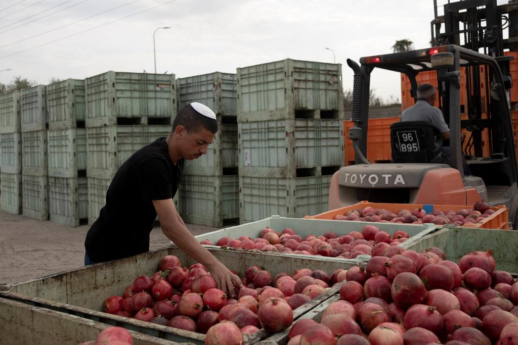 Israel Farming Crisis