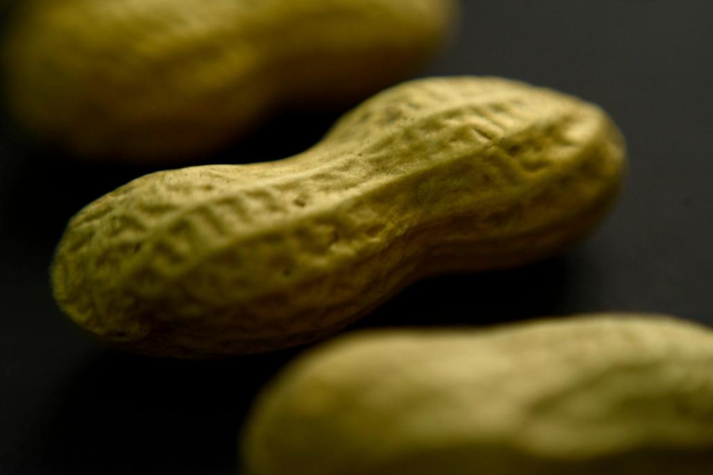 People who use Xolair must continue to avoid the foods that cause them reactions, such as peanuts, cashews, hazelnuts, walnuts, milk products and eggs. 