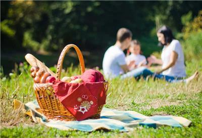 Picnic