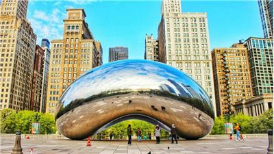 The bean
