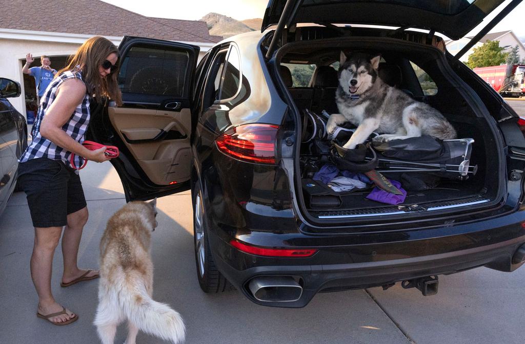 Lori Dalton rushes her dogs, Leo and Cooper, into her car moments after being notified to evacuate by Salt Lake City firefighters as a wildfire burns near Ensign Peak 