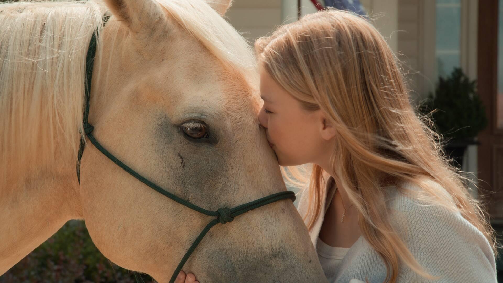 Anna encounters a majestic horse that changes all their lives forever