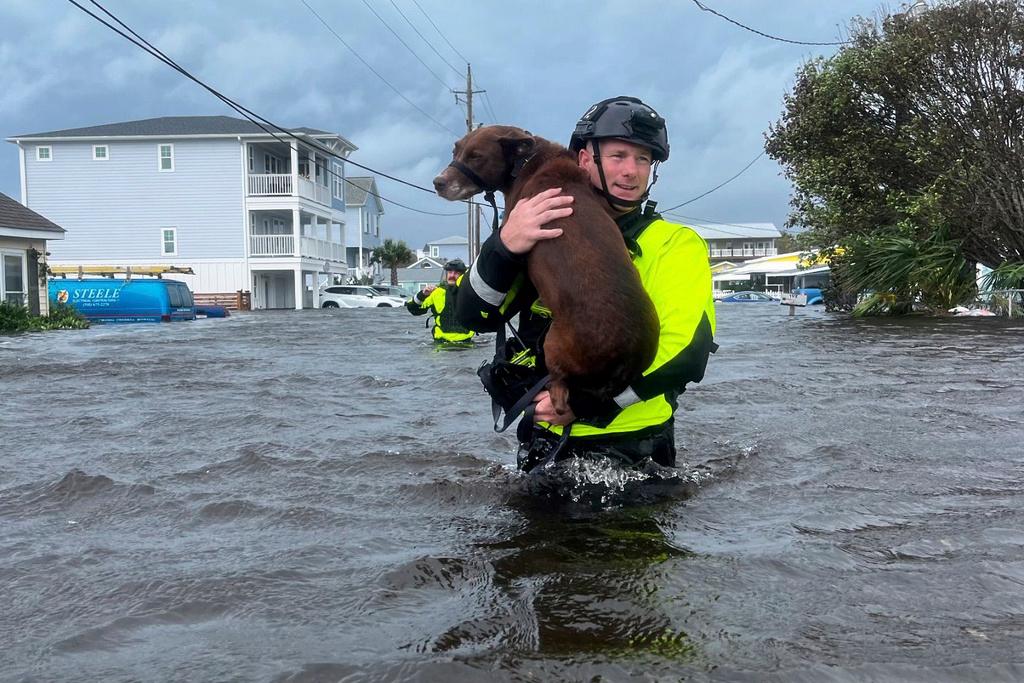 A firefighter carries a dog through floodwaters in Kure Beach, N.C.