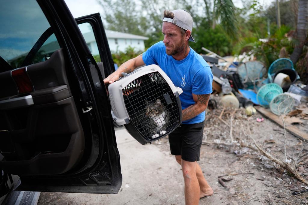 Ted Carlson puts his best friend Evan Purcell's cat McKenzie into a pick-up truck as the pair recover her along with other important items from Purcell's home ahead of the arrival of Hurricane Milton, as debris from Hurricane Helene damage to Purcell's garage level still sits alongside the driveway, in Holmes Beach on Anna Maria Island, Fla., Tuesday, Oct. 8, 2024. "This place couldn't handle Helene," said Carlson, predicting. "It's all going to be gone." 