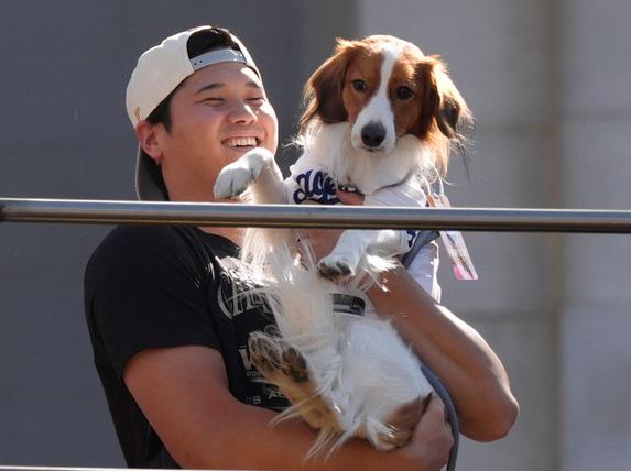 Los Angeles Dodgers' Shohei Ohtani holds his dog Decoy during the Los Angeles Dodgers baseball World Series championship parade 