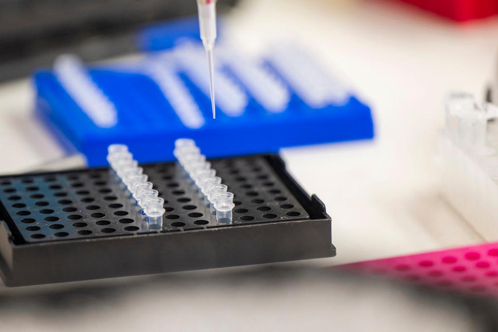 lab test tubes medical