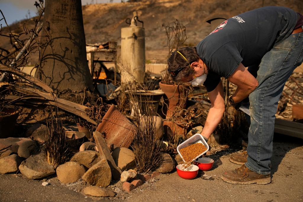 Kevin Marshall fills a bowl with cat food for Simba, a cat his mother took care of, in the aftermath of the Palisades Fire