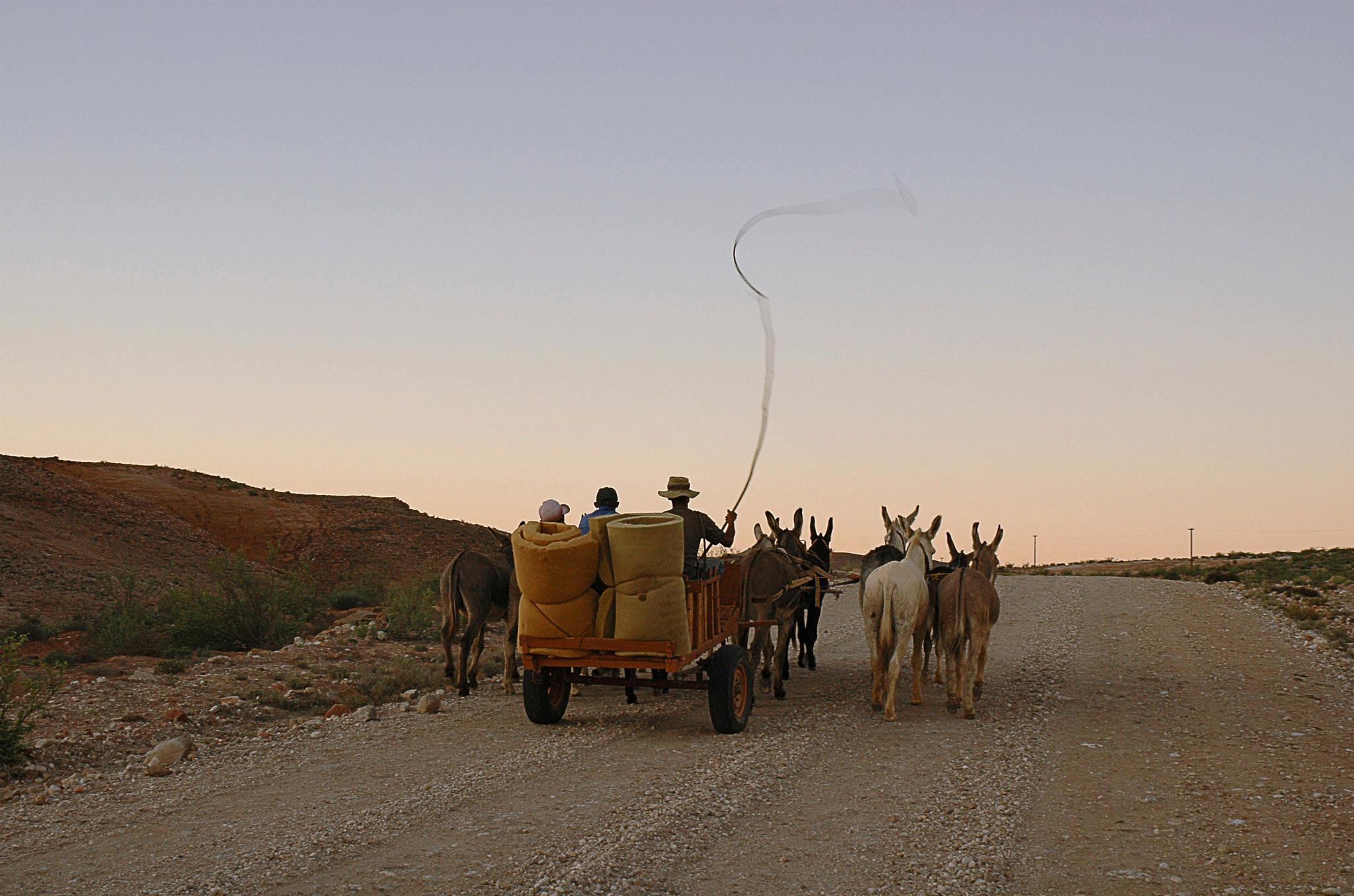 Donkey-driven cart with men and a whip