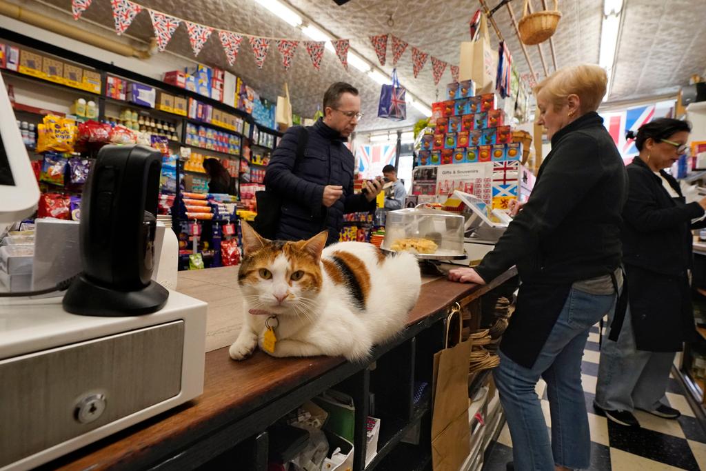 Grace sits on the counter at Myers of Keswick, as owner Irene Connelly, second from right, helps a customer in New York,