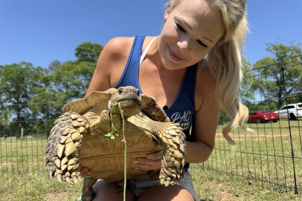 Tiffany Emanuel holds her pet tortoise, Myrtle, in Kokomo, Miss.
