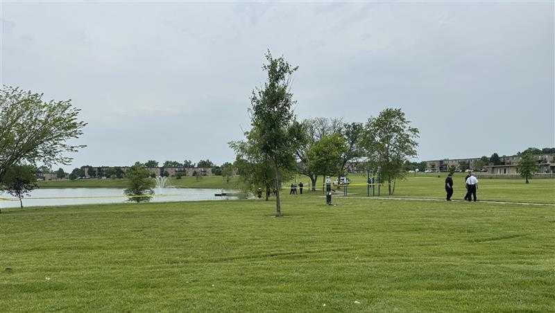 pond