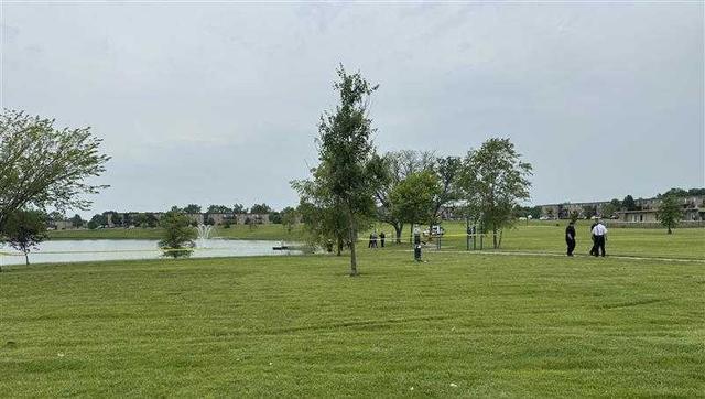 pond