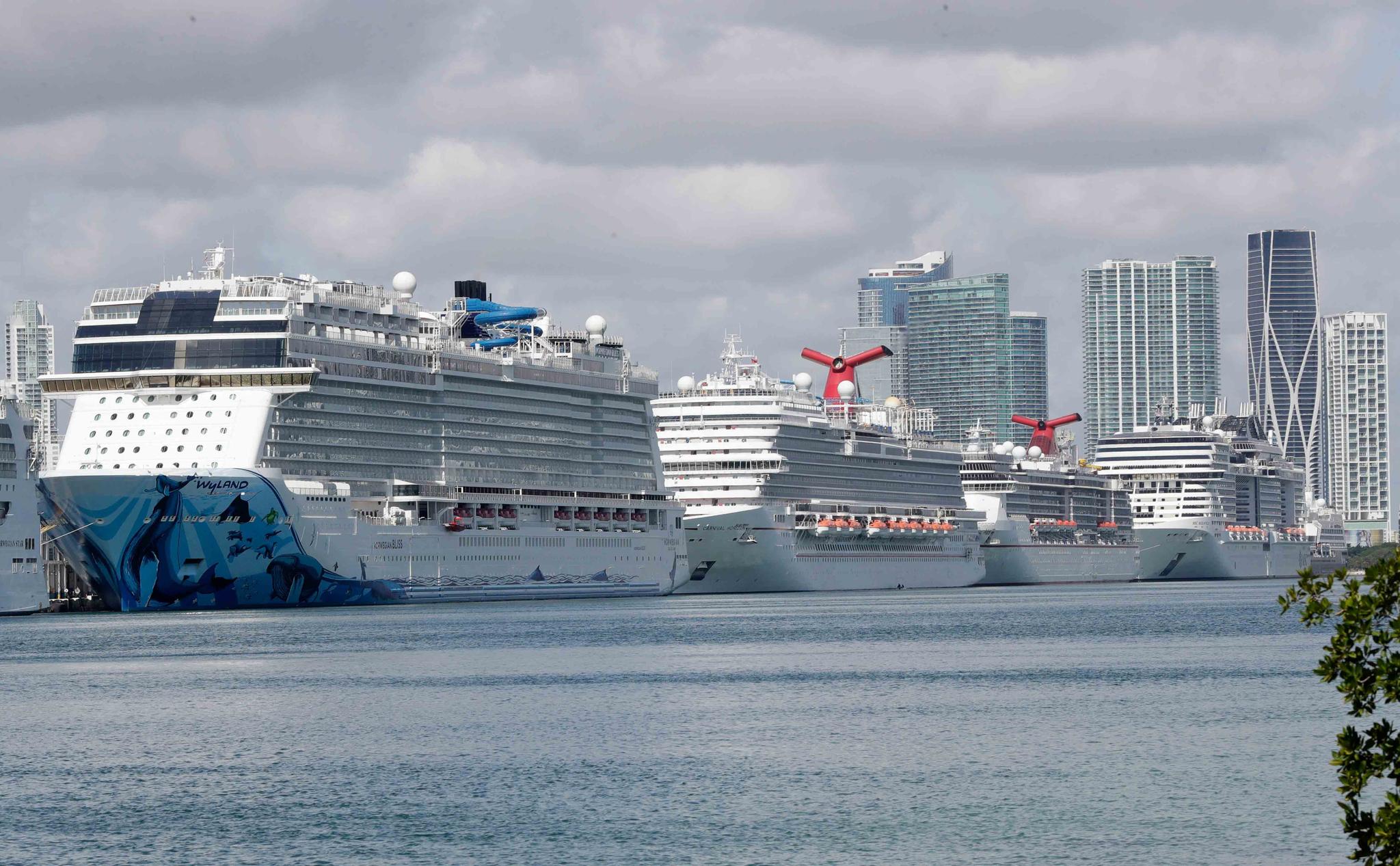 Cruise ships are docked at Port Miami