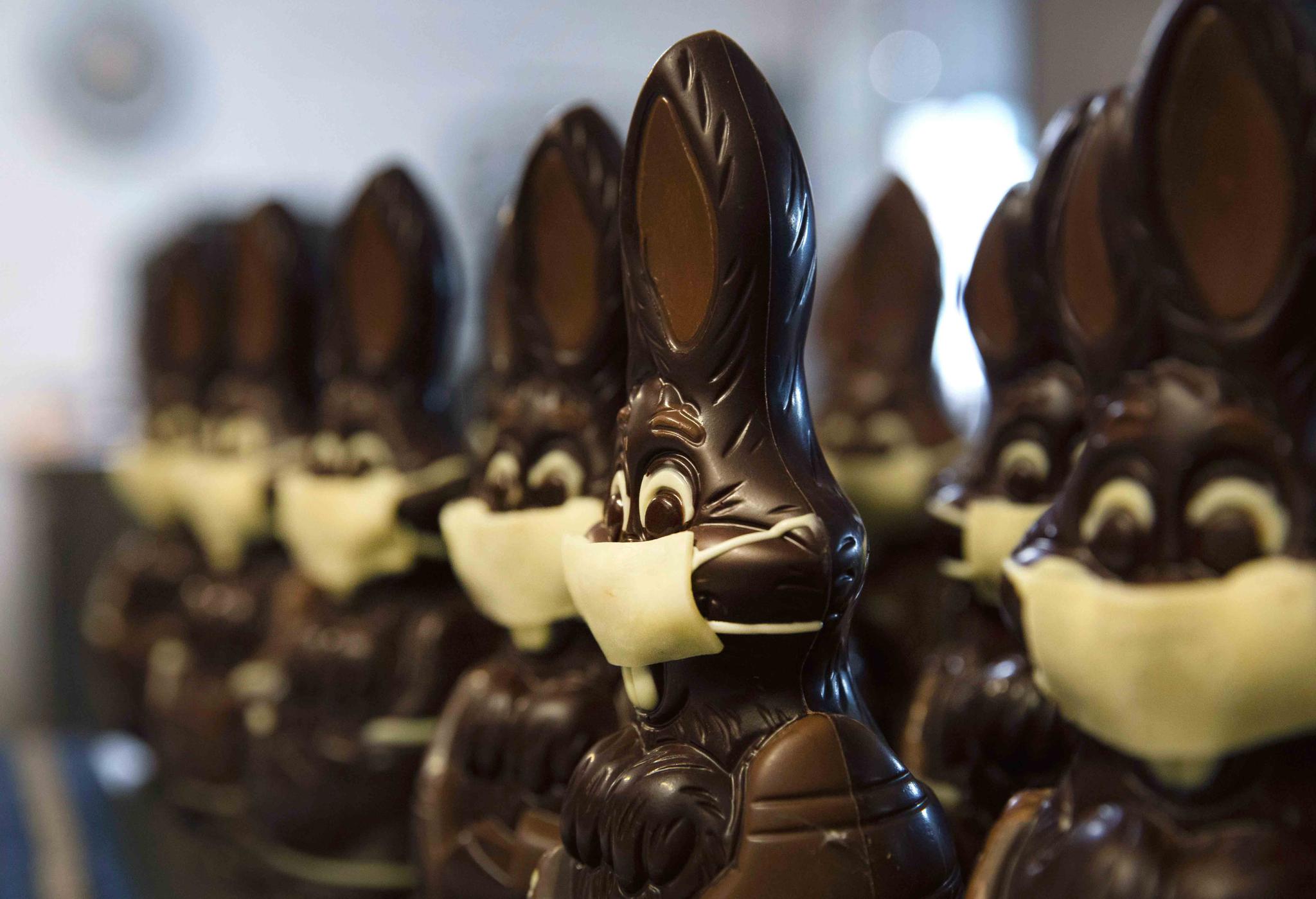 chocolate rabbits with face masks are lined up at the Cocoatree chocolate shop in Lonzee, Belgium.