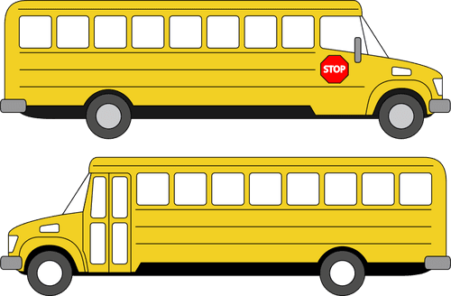 School Busses