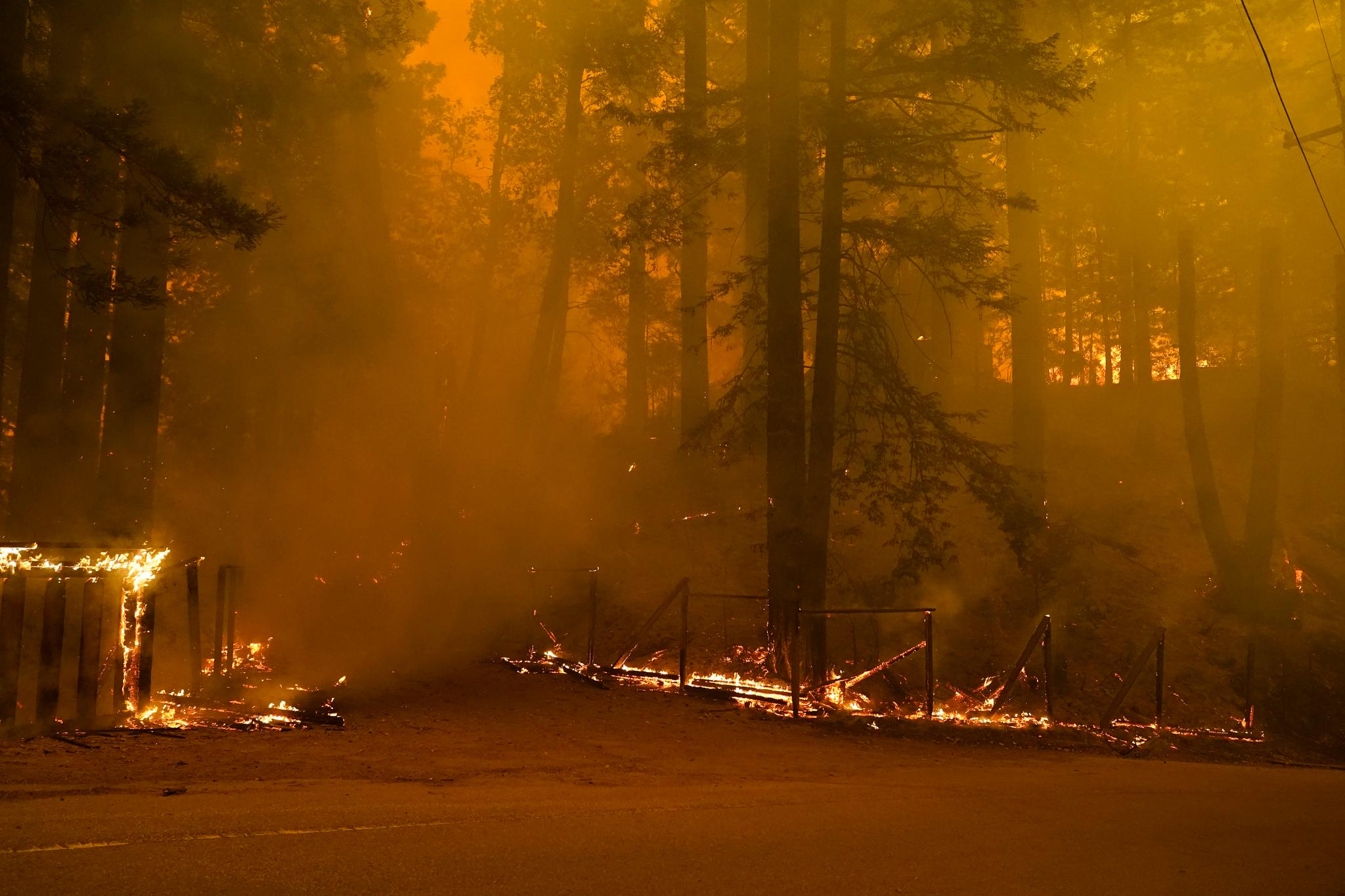 CZU August Lightning Complex Fire