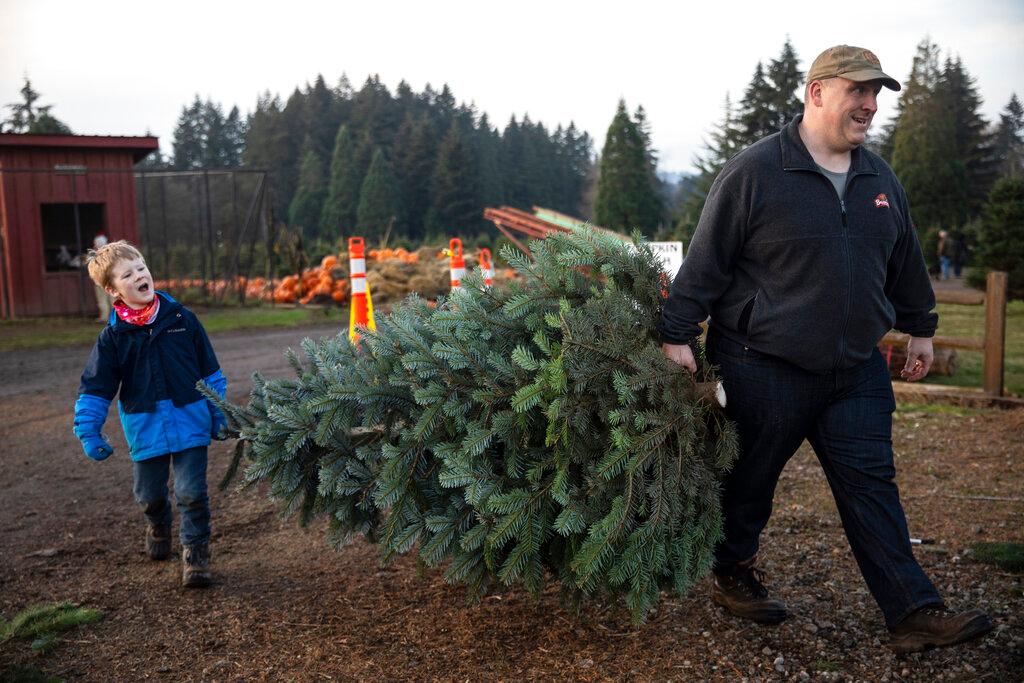 Tim Daley and son Jacob, 9 years, from Tualatin carry their freshly cut Christmas tree at Lee farms in Tualatin, Ore.